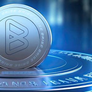 Bitgert Coin’s Ascendancy: Following in the Footsteps of Solana and Ethereum?