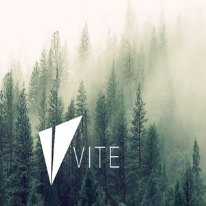 How to Buy VITE Coin?