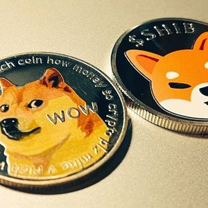 Dogecoin (DOGE) and Shiba Inu (SHIB) Communities Embrace Raffle Coin (RAFF) Presale, Anticipating a 50X Price Increase