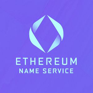 What is Ethereum Name Service Coin?