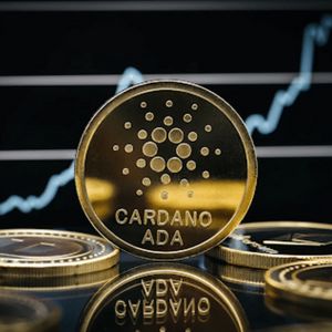 Koala Coin (KLC) vs Cardano (ADA) and Ripple (XRP) Where Adorable Meets Affordable in the Crypto Space