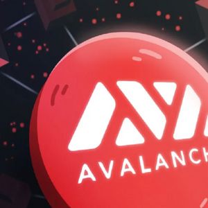 Avalanche (AVAX) and Optimism (OP) Fans Find Your Fuzzy Fortune with the Koala Coin (KLC) ICO