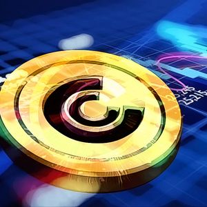 Record Outflow of Bitcoin from Exchanges: Recent 24-Hour Activities