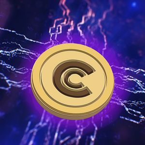 Insights on Cryptocurrency Trends by Former White House Communications Director