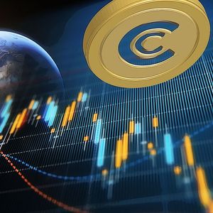 Insights into Cryptocurrency Market Trends