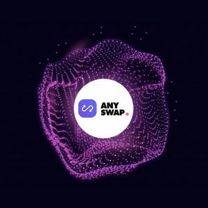 What is Anyswap Coin?