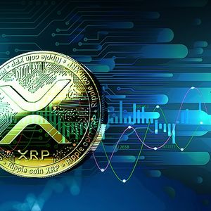 XRP Sees Significant Market Value Increase