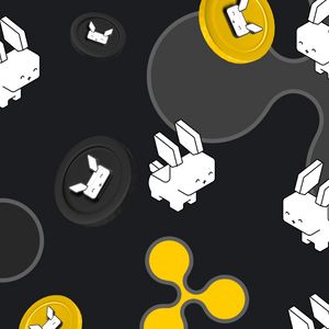 XMR And XRP Haven Not Seen A 2024 ATH: What’s Predicted For Raboo’s Launch This Year?