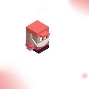 What is Joe Coin?