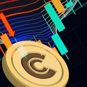 Investors Experience High Volatility in Altcoins