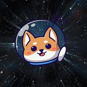 Shiba Inu Token Burn Rate Increases Significantly