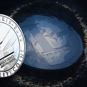 Litecoin Processes Significant Daily Transactions