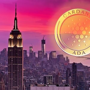 Cardano Investors Anticipate Price Increase