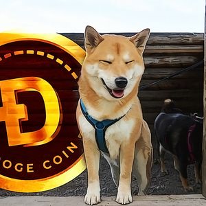 Dogecoin Reaches Highest Price in 34 Days