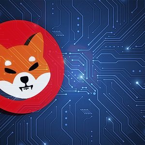 Shiba Inu Faces Price Decline Despite Increased Token Burns