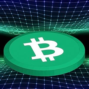 Bitcoin Cash Shows Significant Price Movements