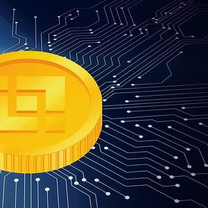 Analysts Predict Binance Coin Reaching New Heights