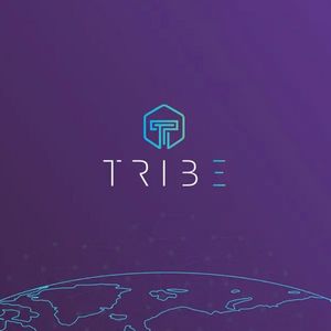 How to Buy Tribe Coin?