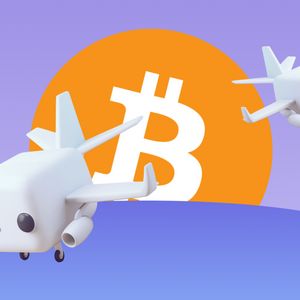 Bitcoin Falls To The Bears as Holders Shift Rising AI-Powered Meme Token, Raboo!