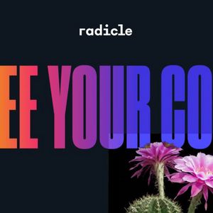How to Buy Radicle Coin?