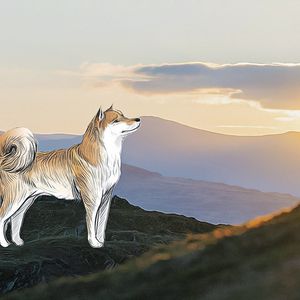 Shiba Inu’s Price Surge Draws Attention in Crypto Market