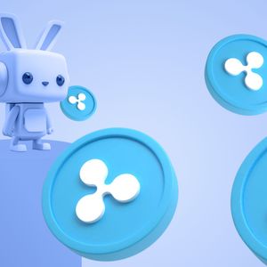 XRP Transfer Fuels Speculation as Raboo’s Innovative Features Spark Market Buzz – A New Powerhouse Emerges!