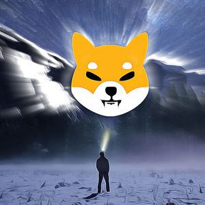 Shiba Inu Marketing Leader Highlights Upcoming Changes in Token Ecosystem