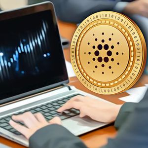 Cardano Ecosystem Displays Rapid Changes as ADA Whales Thrive