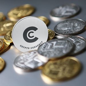 Cryptocurrency Holders Exhibit Long-Term Trust in Major Coins