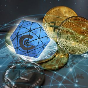 Experienced Trader Achieves Significant Profits Through Timely Altcoin Purchases