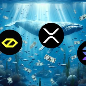 XRP and Solana Losing Investor Interest as Cybro Attracts Whale Attention