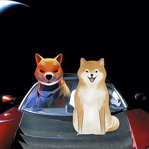 Shiba Coin Price Rises, Analysts Predict Potential Growth