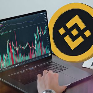 Binance Successfully Executes 29th BNB Coin Burn