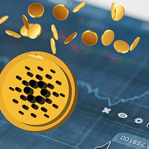 Cardano Seeks Recovery as Market Uncertainty Persists