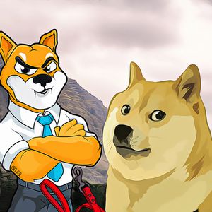 Shiba Inu Experiences a Significant Increase in Burn Rate