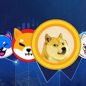 Robinhood Crypto EU Expands Support for Shiba Inu Coin Transfers