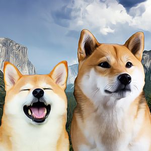 Dogecoin Whales Accumulate Significant Holdings, Indicating Market Potential