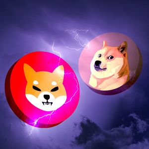 Shiba Inu Gains Momentum as Bitcoin Approaches $100,000