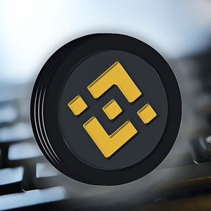 Binance Achieves Record Bitcoin Customer Balance Market Share