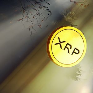 Whales Drive XRP Price Increase with Major Purchases