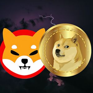 Shibarium Achieves Milestone with 2 Million Wallets Registered