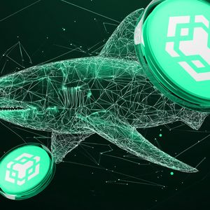 Whales Buy 100M XRP Tokens, BNB’s Bullish Trend Hangs in Balance While New Presale Raises Over $5 Million