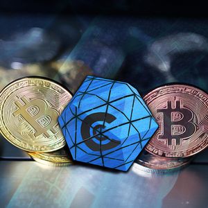 Experts Predict Similar Trends in Cryptocurrency Markets