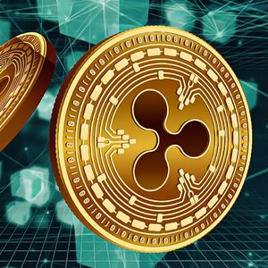 How XRP Thrives with Trump’s Presidency: A Closer Look