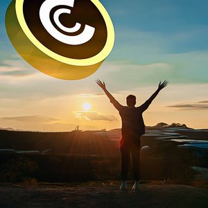 Crypto Market Signals Alert: Is a Bull Peak on the Horizon?