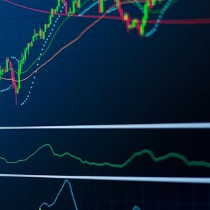 Investors Eye Potential Growth in Altcoins Despite Recent Volatility