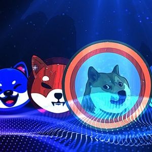 Dogecoin and Shiba Inu: Navigating Recent Market Challenges