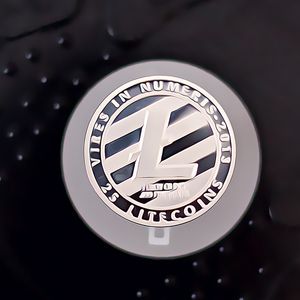 Litecoin Surges as Market Corrects: Bright Prospects Ahead
