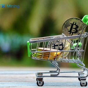 Maximize Your Crypto Earnings with CESUR Mining’s New Cloud Contracts