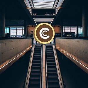 Will Altcoin Investors Witness a Major Boom?